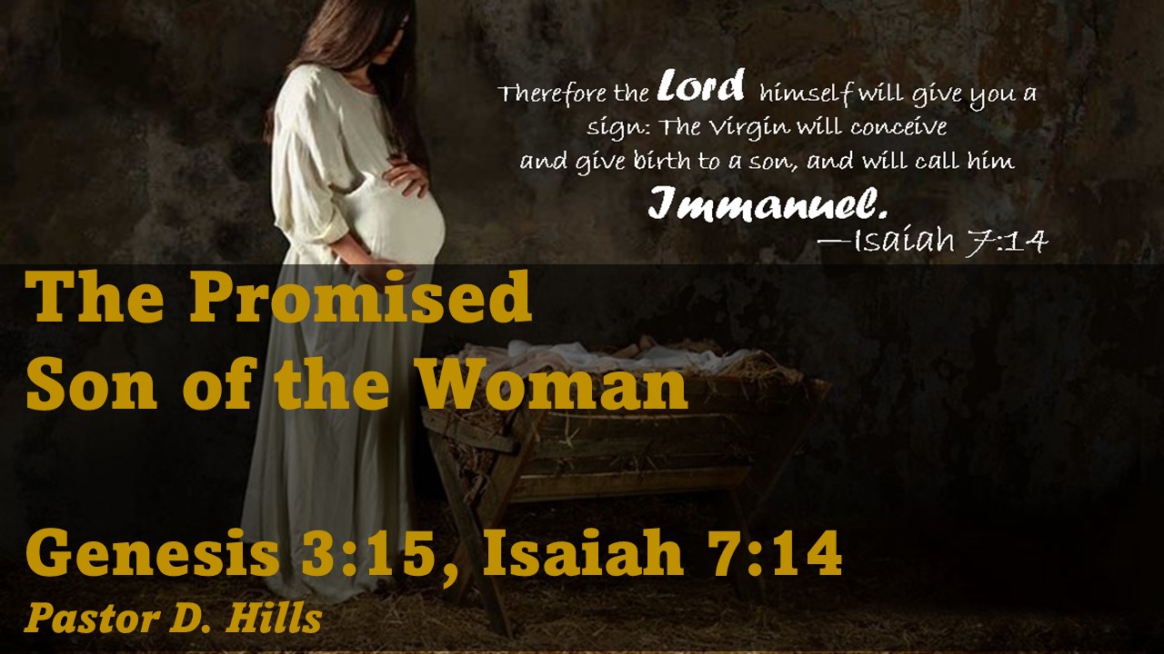 The Promised Son of the Woman